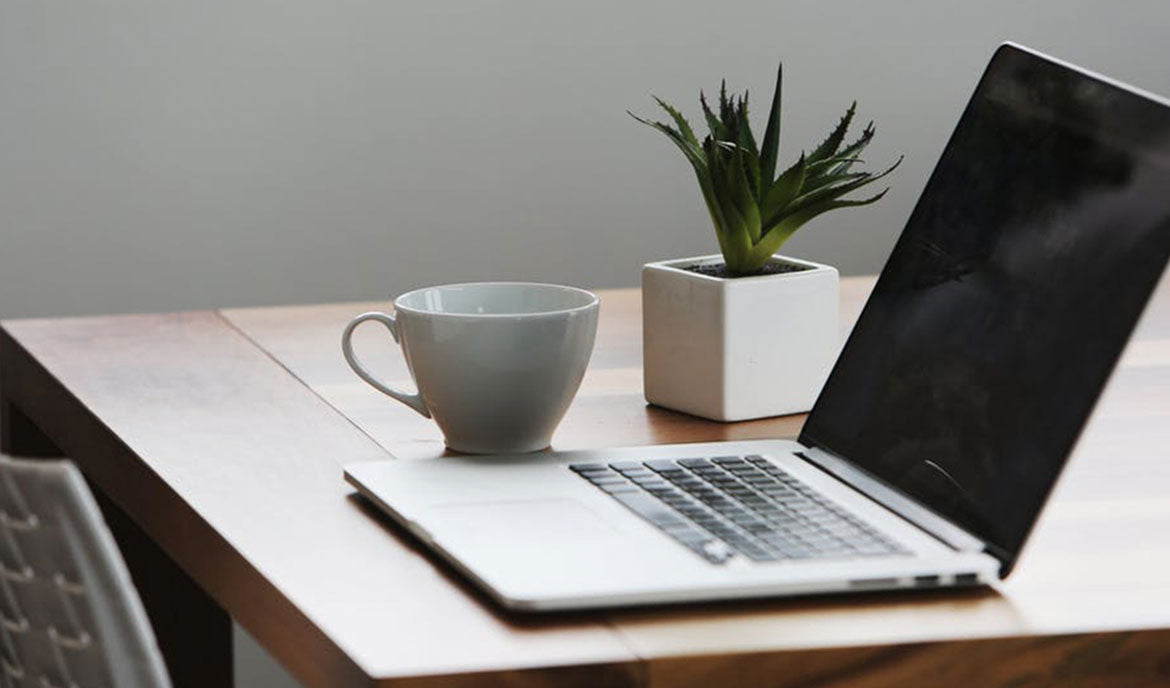 Drawing room with nature